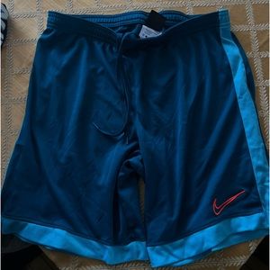 Nike shorts medium men